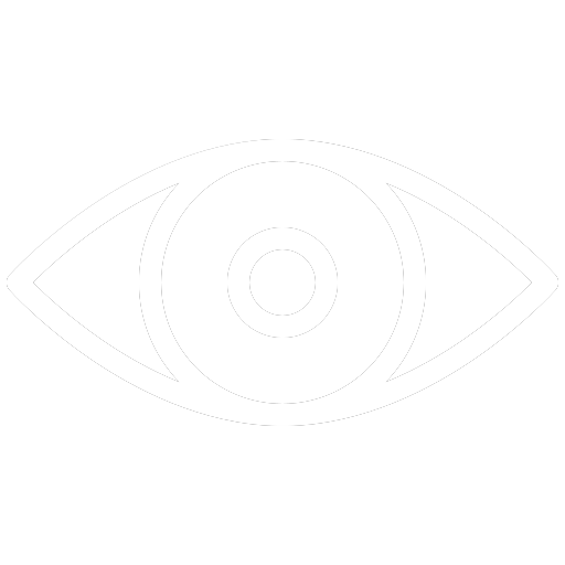 Vision Icon